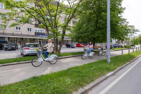DBajk, foto: Rok Majhenič